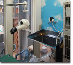 トリミングルーム