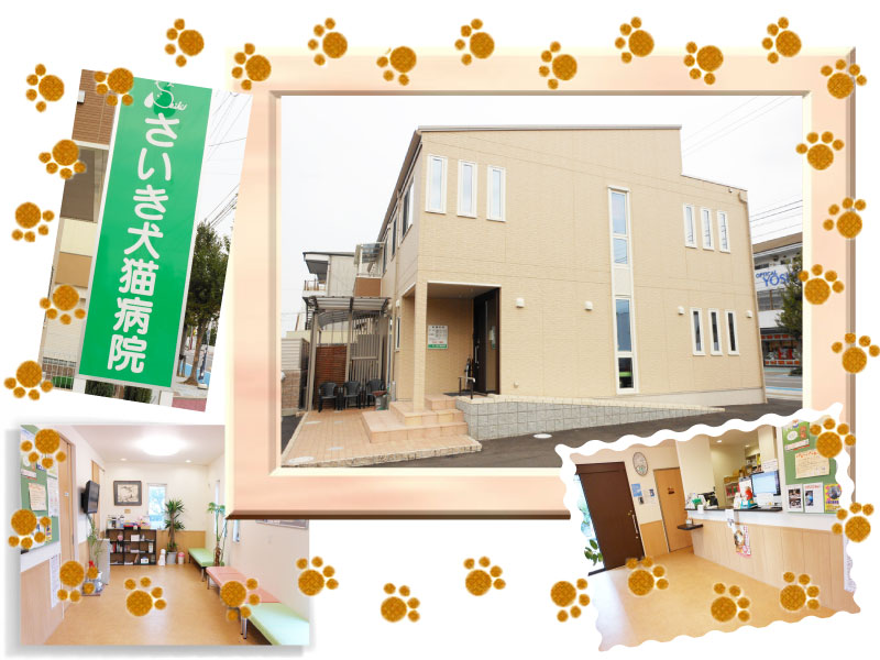 さいき犬猫病院｜犬｜猫