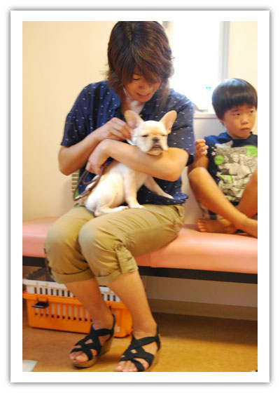 子犬｜ふれあい｜社会性