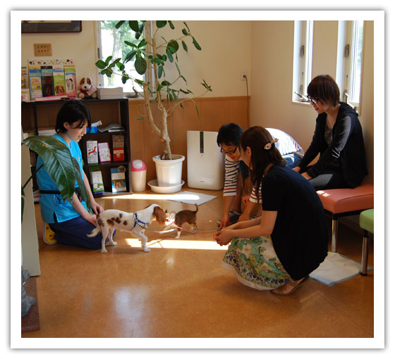 子犬｜ふれあい｜社会性