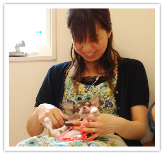 子犬｜ふれあい｜社会性